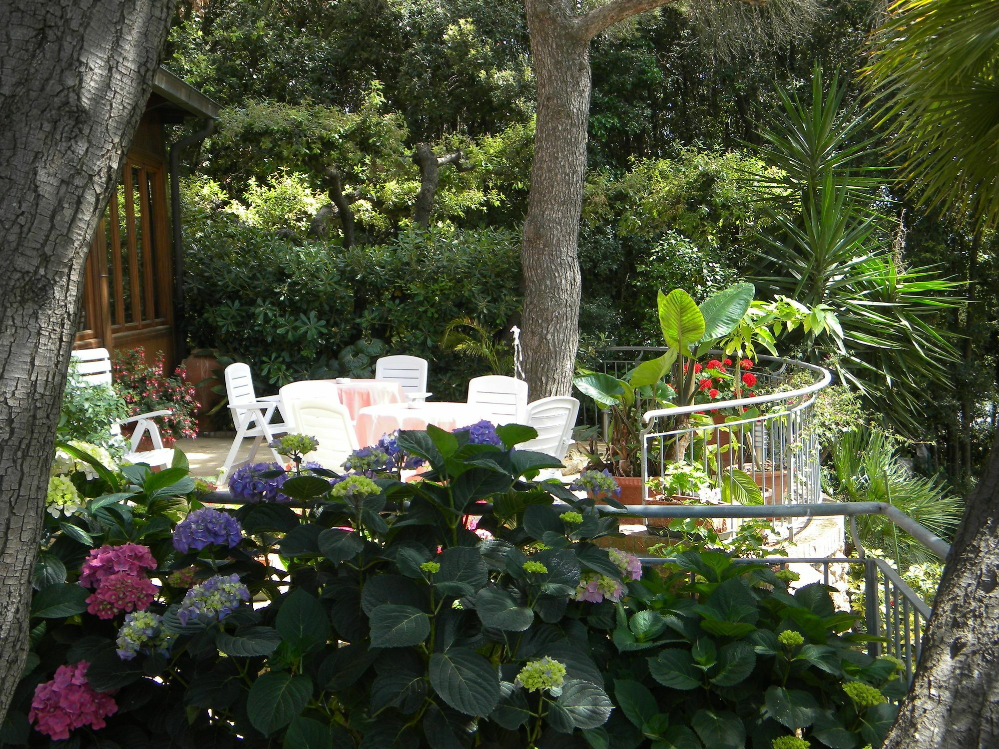Hotel La Rosa Del Tirreno Livorno Zewnętrze zdjęcie