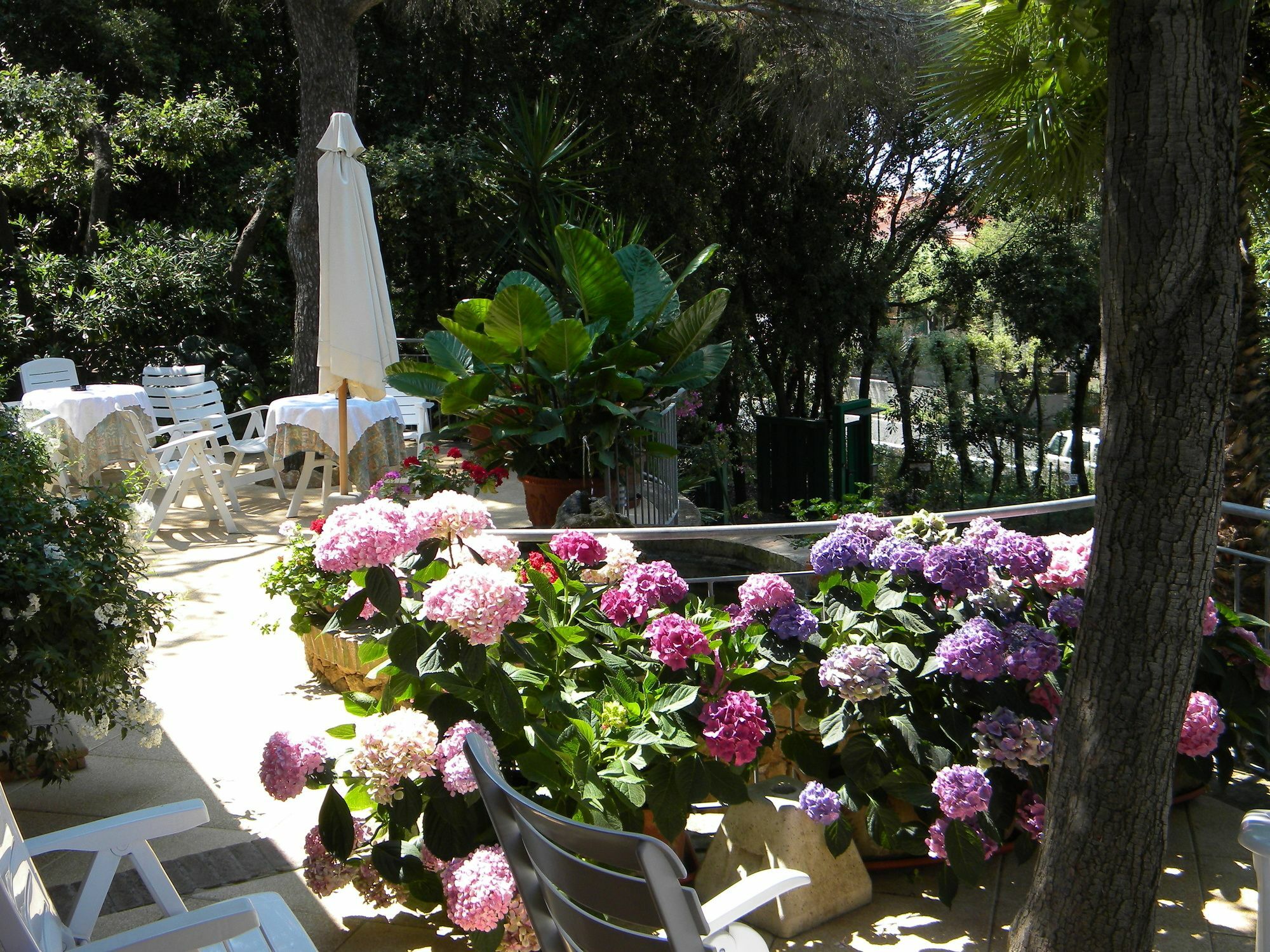 Hotel La Rosa Del Tirreno Livorno Zewnętrze zdjęcie
